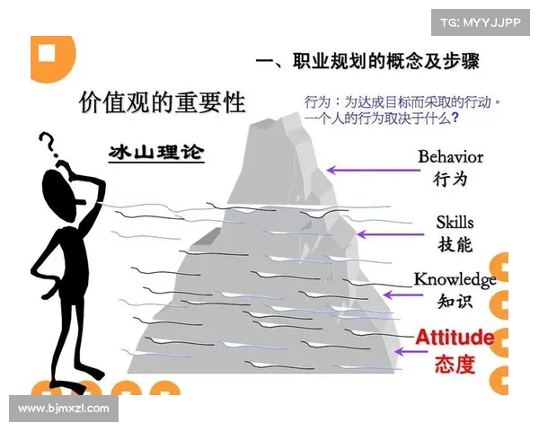 如何从工作态度与团队合作角度评估库普梅纳斯的职业精神